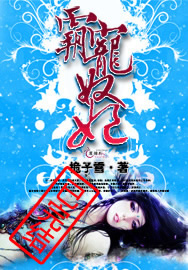 霸宠奴妃