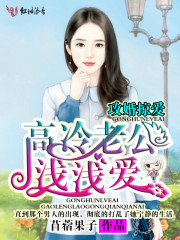 攻婚掠爱，高冷老公浅浅爱