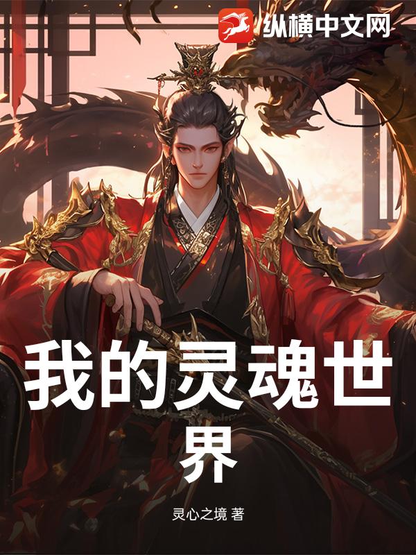 我的灵魂世界